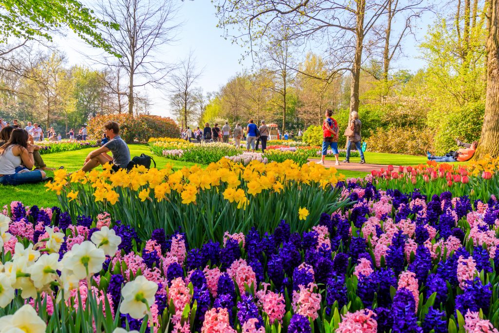 Private Keukenhof Tour - sarahs-tours
